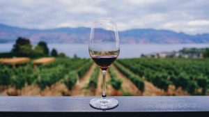 Una copa de vino encima de una mesa.