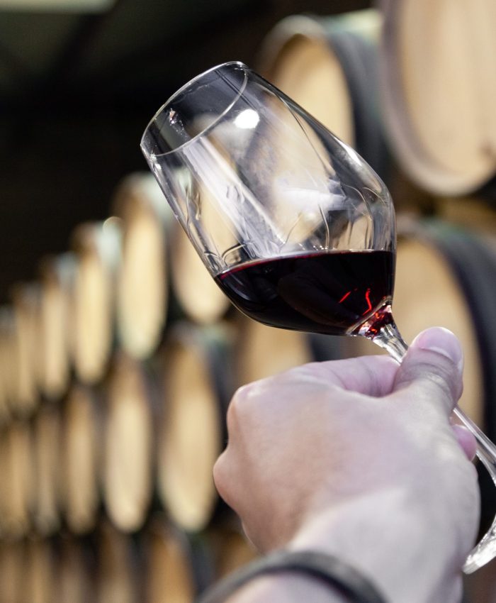 Closeup hand with glass of red wine on background wooden oak bar Closeup hand with glass of red wine on background wooden oak barrels stacked in straight rows in order, old cellar of winery, vault. Concept professional degustation, winelover, sommelier travel